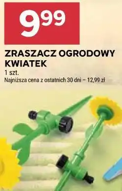 Stokrotka Zraszacz ogrodowy kwiatek oferta