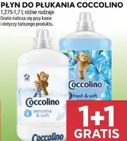 Stokrotka PŁYN DO PŁUKANIA COCCOLINO oferta