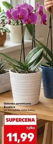 Kaufland Osłonka ceramiczna escalera 13 cm oferta