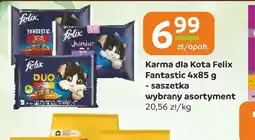 Gama Felix Karma dla Kota Fantastic oferta