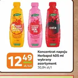 Gama Koncentrat napoju Herbapol oferta