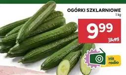 Stokrotka Ogórki szklarniowe oferta