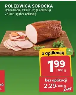 Stokrotka Polędwica sopocka oferta
