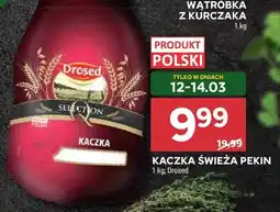 Stokrotka Kaczka świeża oferta
