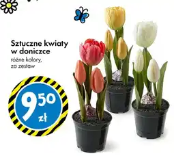 Tedi Sztuczne kwiaty w doniczce różne kolory oferta