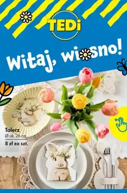 Tedi Talerz oferta