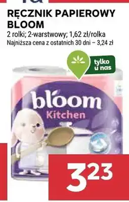 Stokrotka Ręcznik papierowy oferta