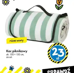 Tedi Koc piknikowy oferta