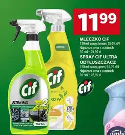 Stokrotka Mleczko Cif spray lemon, Spray Cif Ultra odtłuszczacz green oferta