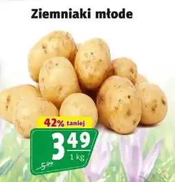 Prim Market Ziemniaki młode oferta