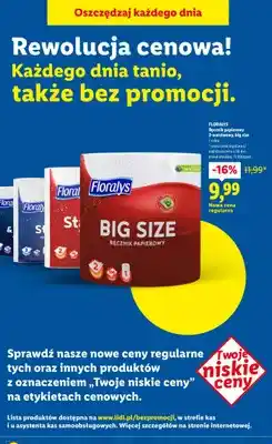 Lidl Ręcznik papierowy 2-warstwowy, big size oferta