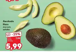 Kaufland Awokado Hass 1 szt oferta
