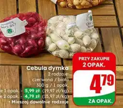 Dino Cebula dymka oferta