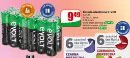 Dino Baterie alkaliczne E Volt oferta