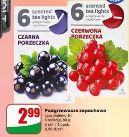 Dino Podgrzewacze zapachowe oferta