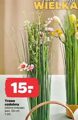 Netto Trawa ozdobna (różne rodzaje) oferta