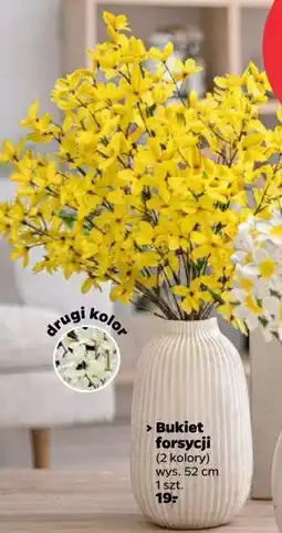 Netto Bukiet forsycji (2 kolory) wys. 52 cm oferta