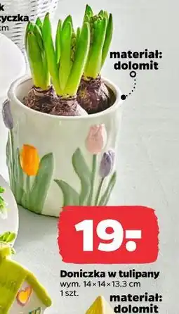 Netto Doniczka w tulipany oferta