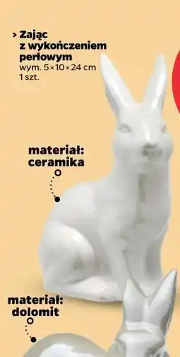 Netto Zając z wykończeniem perłowym oferta