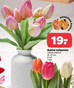 Netto Bukiet tulipanów (różne kolory) dł. 37 cm 9 szt oferta