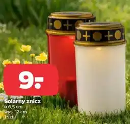 Netto Solarny znicz oferta