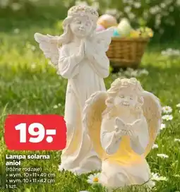 Netto Lampa solarna anioł oferta