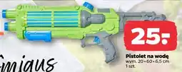 Netto Pistolet na wodę oferta