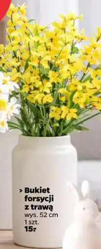 Netto Bukiet forsycji z trawą wys. 52 cm oferta