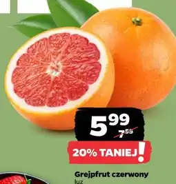 Netto Grejpfrut czerwony luz oferta