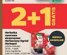 Netto Herbatka owocowa ekspresowa Herbaciany Ogród Herbapol (różne rodzaje) oferta