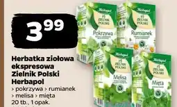 Netto Herbatka ziołowa ekspresowa Zielnik Polski Herbapol (różne rodzaje) oferta