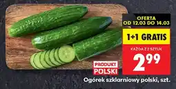 Biedronka Ogórek szklarnowy polski oferta