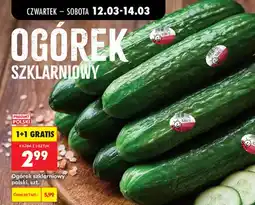 Biedronka Ogórek szklarniowy oferta