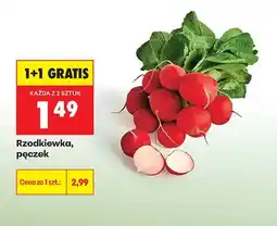 Biedronka Rzodkiewka pęczek oferta