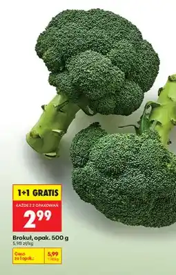 Biedronka Brokuł oferta