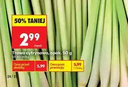 Biedronka Trawa cytrynowa oferta