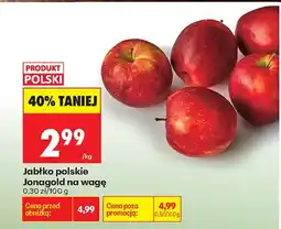 Biedronka Jabłko polskie Jonagold na wagę oferta