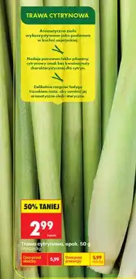 Biedronka Trawa cytrynowa oferta