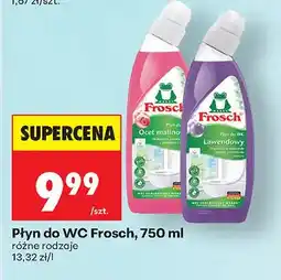 Biedronka Płyn do WC Ocet malinowy oferta