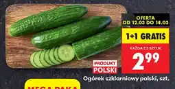 Biedronka Ogórek szklarniowy polski oferta