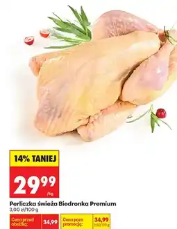 Biedronka Perliczka świeża oferta