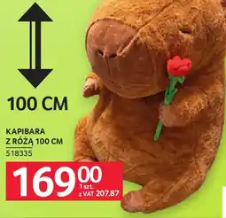 Selgros Kapibara z różą oferta