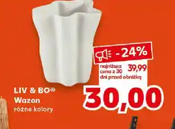 Kaufland LIV & BO Wazon oferta
