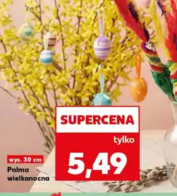 Kaufland Palma wielkanocna oferta