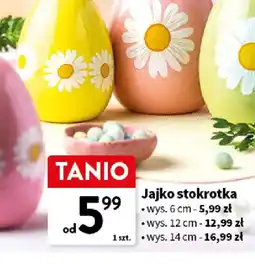 Intermarche Jajko stokrotka oferta
