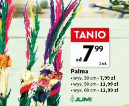 Intermarche Palma Jumi oferta