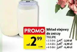 Intermarche Tulipe wkład olejowy do zniczy oferta