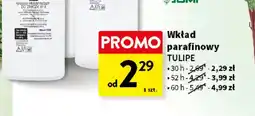 Intermarche Wkład parafinowy Tulipe oferta