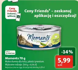 Maxi Zoo Mokra karma dla kota Moments oferta