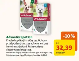Maxi Zoo Środek na pchły dla psa Advantix oferta